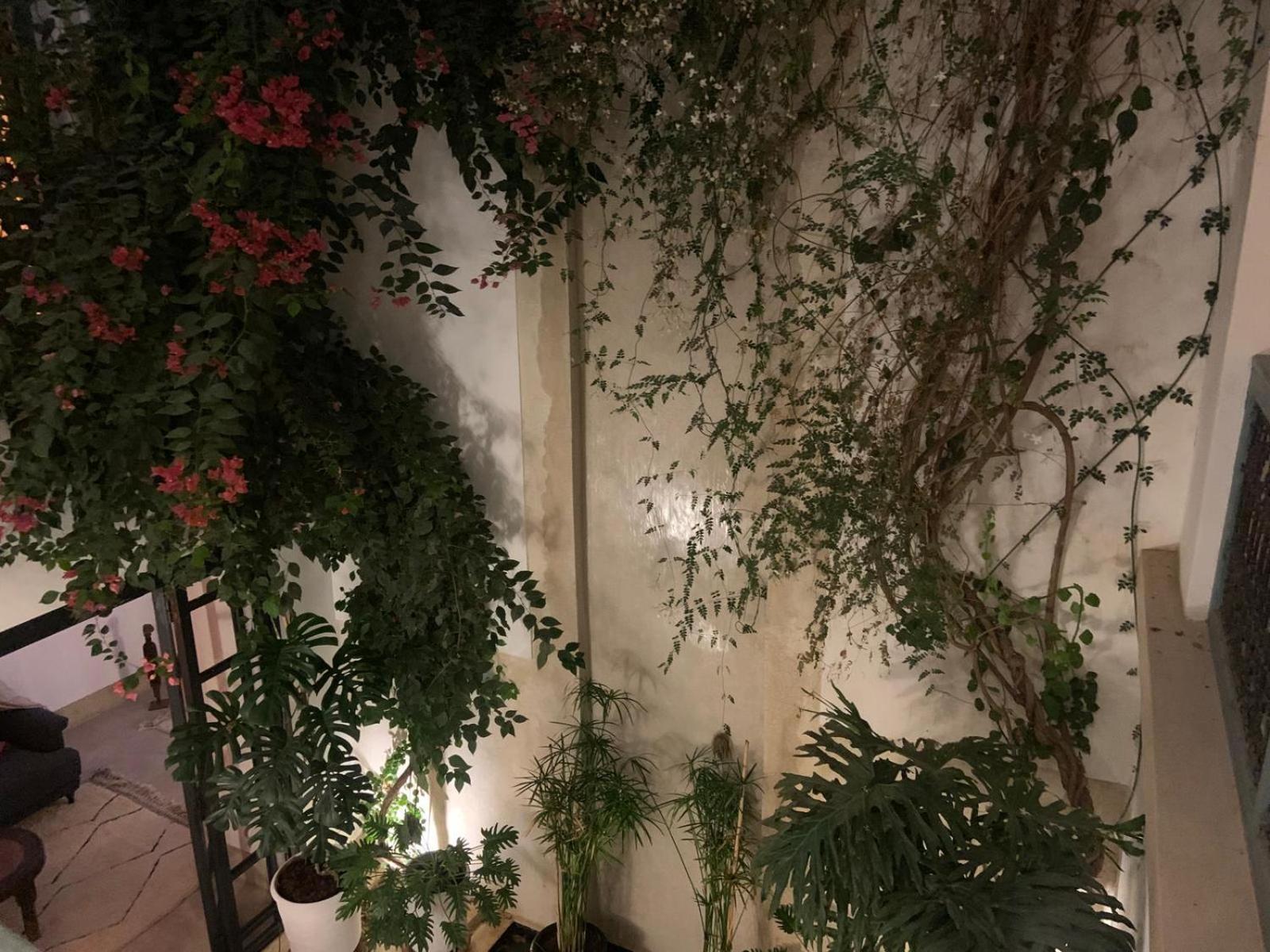 Le Petit Pacha Ξενοδοχείο Μαρακές Εξωτερικό φωτογραφία